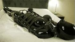 Shared Video by LatexViper with the username @LatexViper,  March 17, 2021 at 6:35 PM