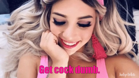 Watch the Video by AirheadBimboTrainer with the username @AirheadBimboTrainer, posted on December 31, 2019. The post is about the topic Bimbo. and the text says 'Good girls get cock dumb.
https://cdn09.bdsmlr.com/uploads/photos/2019/11/812063/bdsmlr-812063-F8x6FlyWD8.gif'