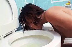 Video by Whore Humiliator with the username @Whore-Humiliator,  December 22, 2018 at 12:03 PM. The post is about the topic Toilet Humiliation and the text says ''