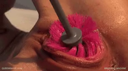 Video by Whore Humiliator with the username @Whore-Humiliator,  December 22, 2018 at 1:44 PM and the text says '#toilet #brush #pain #cunt #insert'