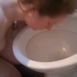 Video by Whore Humiliator with the username @Whore-Humiliator, who is a verified user,  December 24, 2018 at 8:31 AM. The post is about the topic Toilet Humiliation and the text says '#toilet #cleaning #licking #toiletplay #pig #pigplay #humiliation'