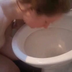 Video by Whore Humiliator with the username @Whore-Humiliator,  December 24, 2018 at 8:31 AM. The post is about the topic Toilet Humiliation and the text says '#toilet #cleaning #licking #toiletplay #pig #pigplay #humiliation'