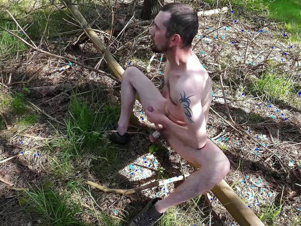 Discover the Link by Gay Guy Denis with the username @gayguydenis, who is a verified user, posted on May 6, 2023 and the text says 'https://xhamster.com/videos/a-wank-in-the-woods-2023-xheub5M'