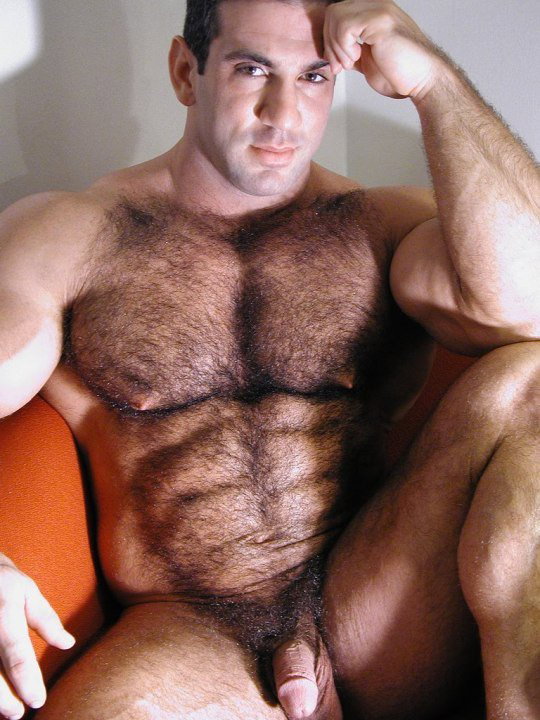 Watch the Photo by Joe1152 with the username @Joe1152, posted on January 24, 2023. The post is about the topic Hairy bears. and the text says ''