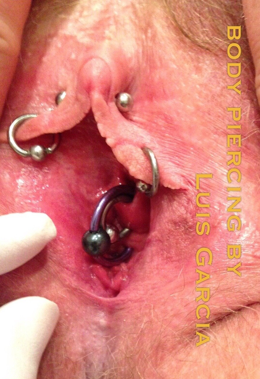 Photo by modificator with the username @modificator,  January 11, 2019 at 9:04 PM and the text says ''Princess Albertine' piercing
#cuntpiercing #pussyrings #piercing #piercedcunt #multiplepiercing #urethra #urethralpiercing #piercedurethra'