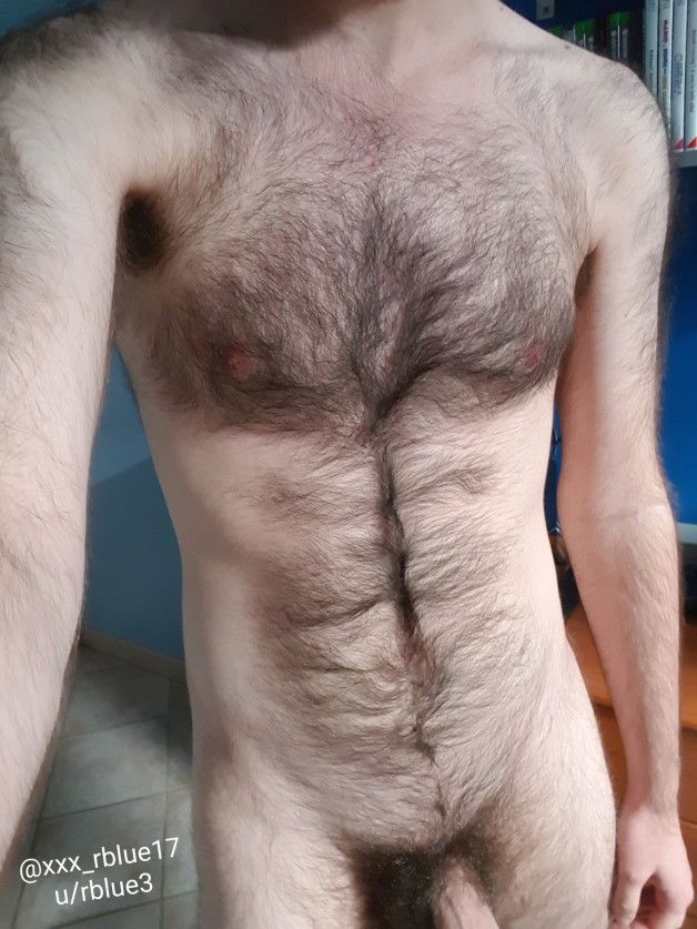 Link by rblue with the username @rblue17,  April 3, 2019 at 9:25 PM. The post is about the topic GayExTumblr and the text says 'Hey, here's my hairy chest'