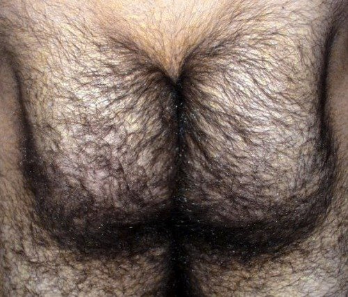 Shared Photo by Satyrday with the username @Satyrday,  December 28, 2021 at 8:42 PM. The post is about the topic The Love  Of Hairy Men