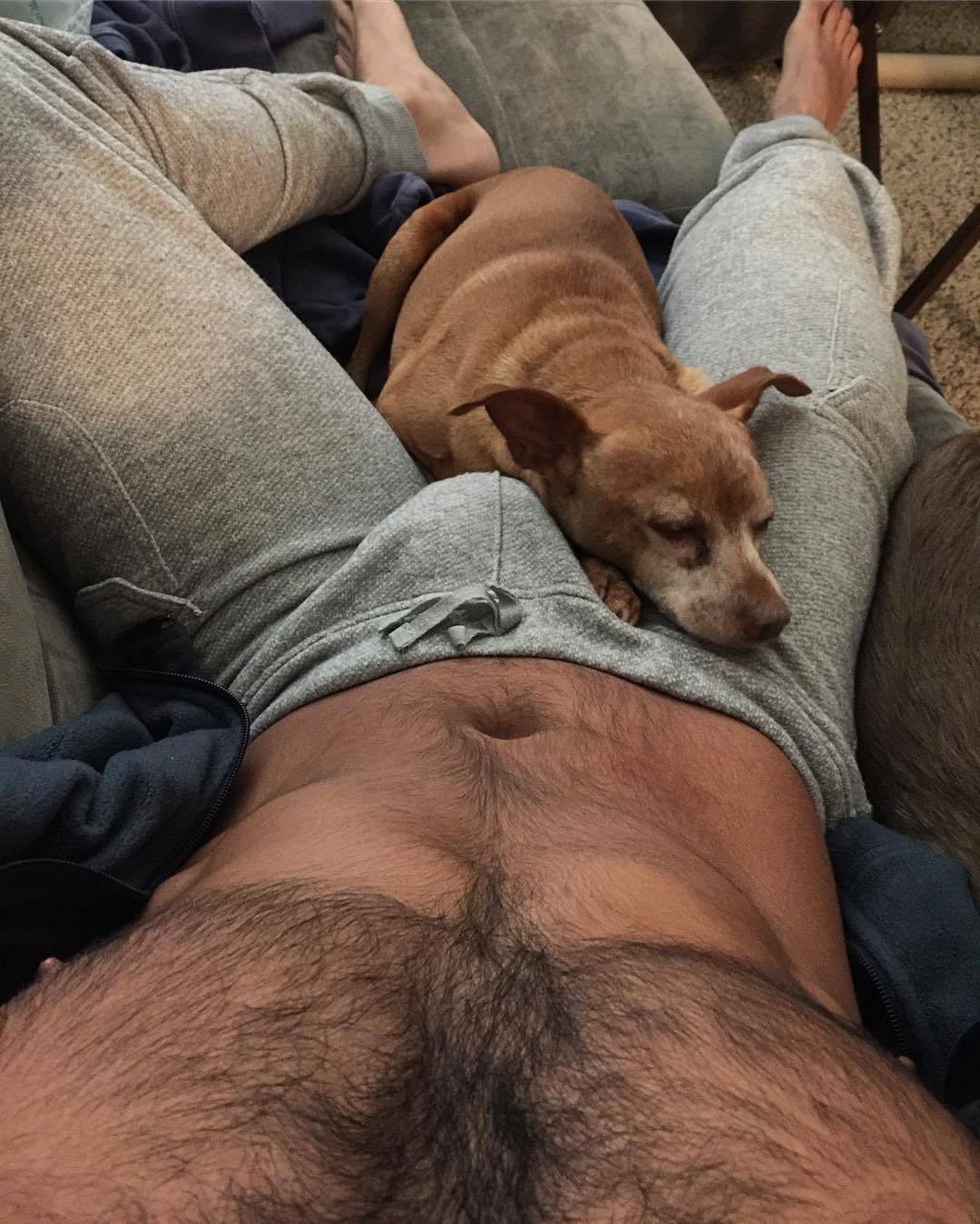 Shared Photo by emraanhap with the username @emraanhap,  October 4, 2020 at 6:23 PM and the text says 'lucky dog🐻'