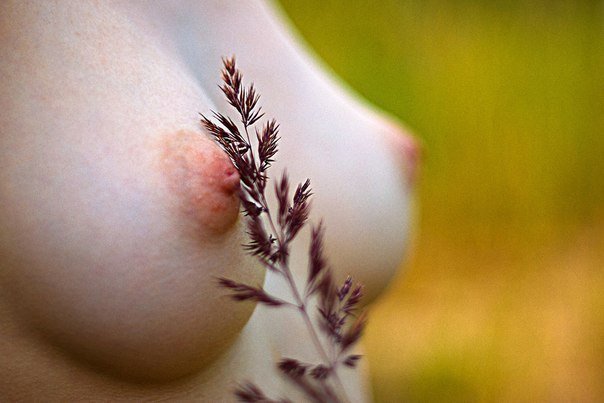 Photo by girlsyoudreamof with the username @girlsyoudreamof,  June 11, 2018 at 8:16 AM. The post is about the topic Beautiful Breasts and the text says '174405693153'