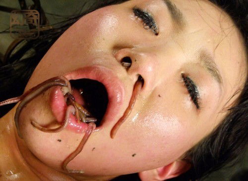 Photo by modificator with the username @modificator,  December 25, 2018 at 8:34 PM and the text says '#humiliation #asian #worms #gross'