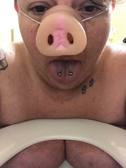 Photo by Whore Humiliator with the username @Whore-Humiliator, who is a verified user,  December 24, 2018 at 8:45 AM. The post is about the topic Pig play and humiliation and the text says '#pig #pigplay #toilet #nose #oink #udders #crushed #pain #pleasure #used'