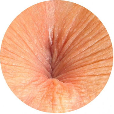 Anus close up 