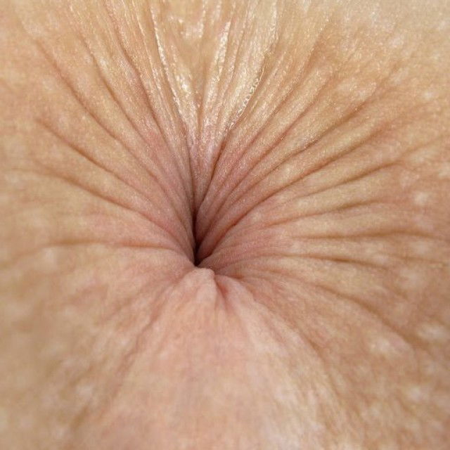 Buttholes I want to fuck (_*_) 