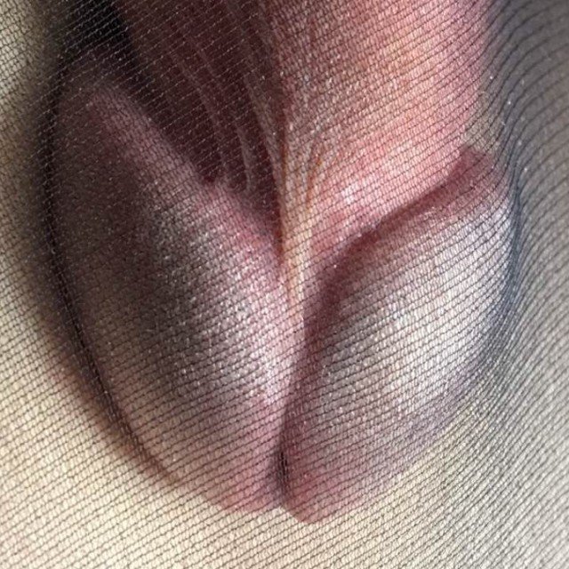 Cock in Pantyhose -Photos of my cock in Pantyhose…