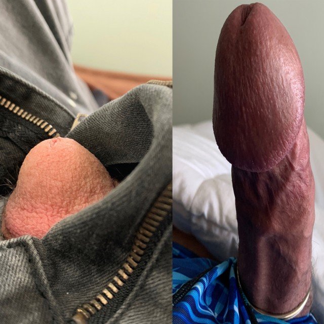 Dicks: Soft vs Hard -The aim of this topic is to sh…