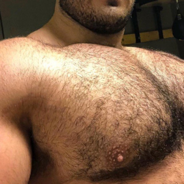 Posted in topic Gay hairy bears