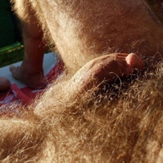 Posted in topic Gay hairy cocks