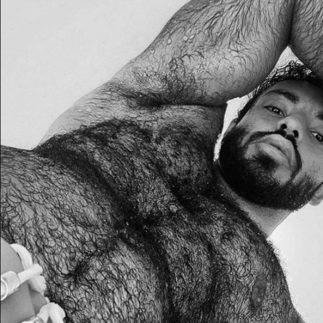 Gay Hairy Male -Beauty of manly gay man covere…