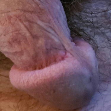 Hairy Cock lover -A collection of hairy cock I h…