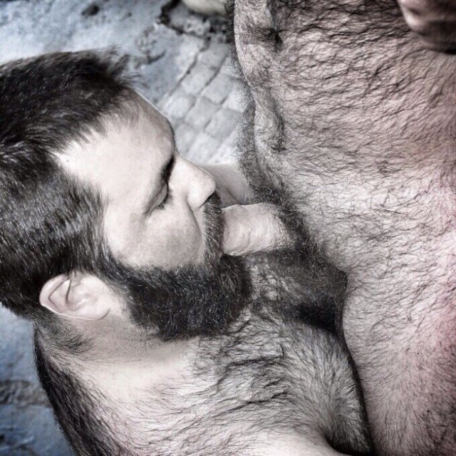 Hairy, Solid, & True Bisexual