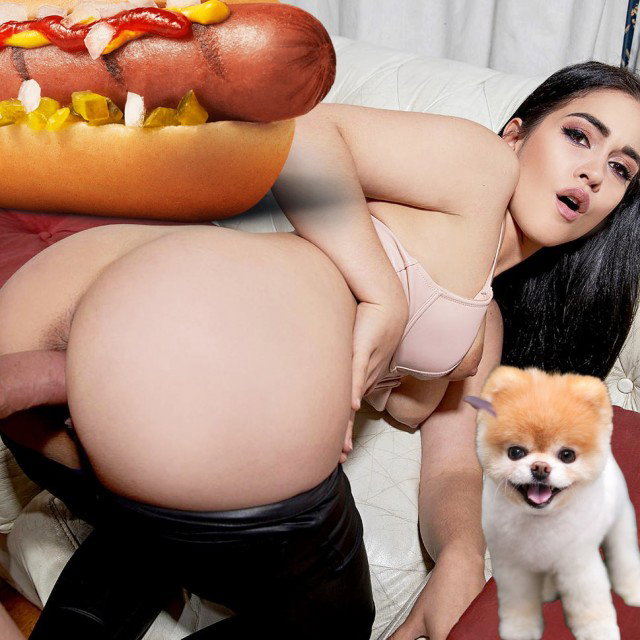 Hot Doggies -Good doggo. Sit - very good do…
