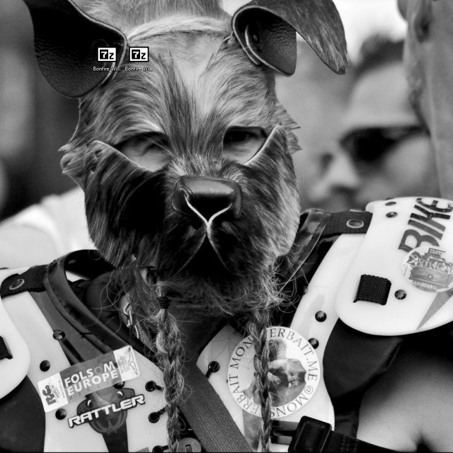 HumanPups -A place on Sharesome to post a…