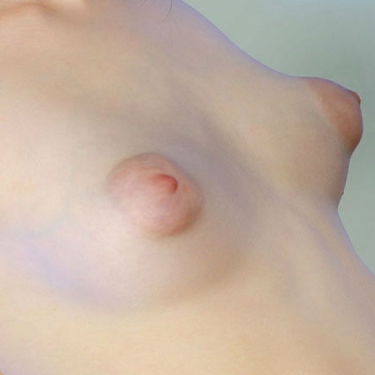my favourite breasts -This is a collection of "my fa…