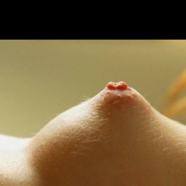Nipples and Breasts…I love all of this!