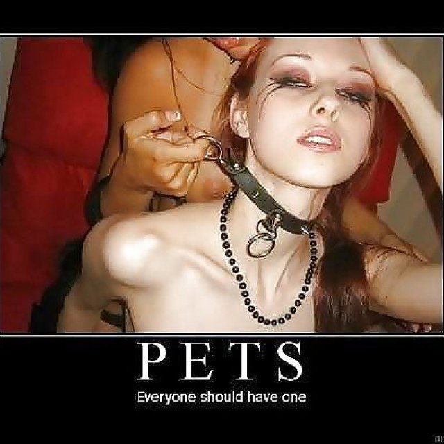 Pets-EveryoneShouldHaveOne -- Feel free to be a active & s…