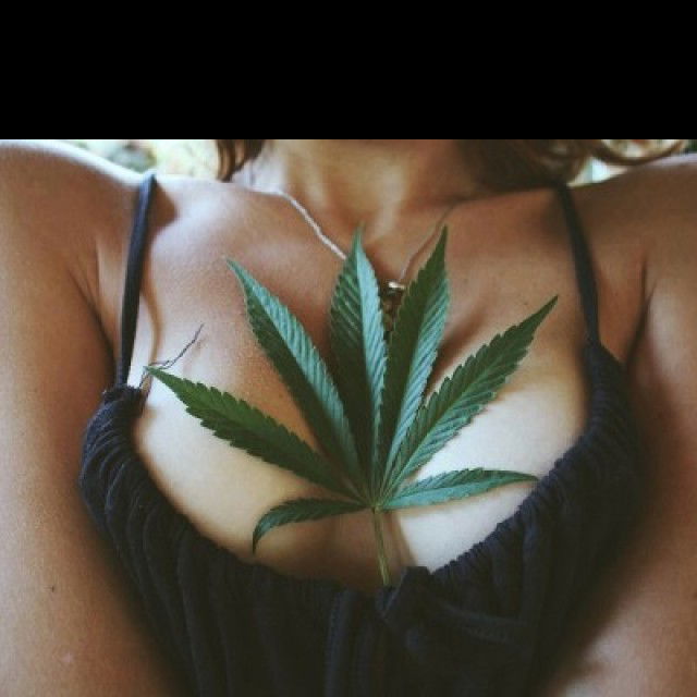 Posted in topic Sexy Stoner Girls