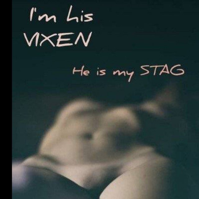 stag and vixen lifestyle