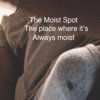 The  Moist Spot -Men showing off their precum a…