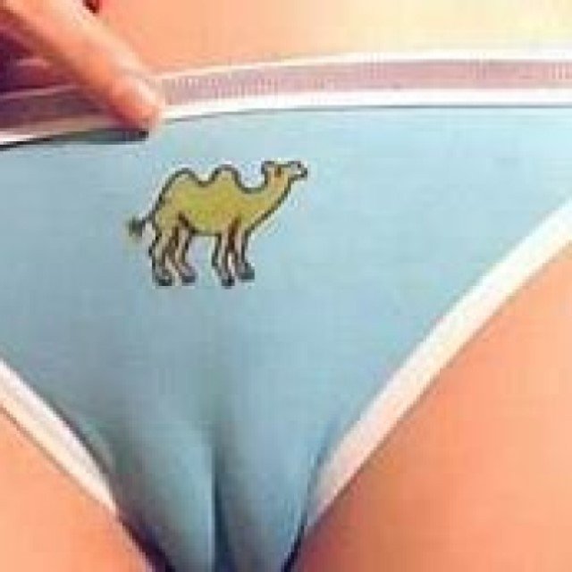 Cameltoe pictures