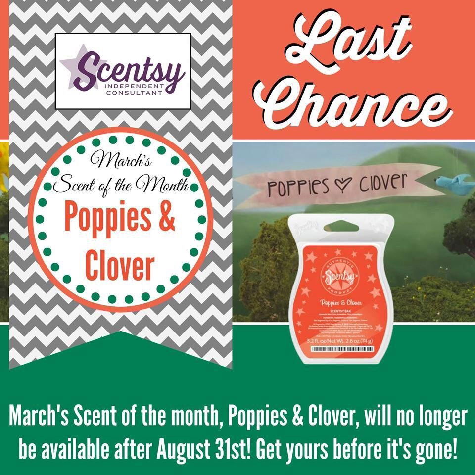 Photo by Tmason201 with the username @Tmason201,  August 15, 2015 at 9:04 PM and the text says 'jessicaschernyscentsy:

Love some Poppies &amp; Clover ??!! Last chance to order will be Aug 31st!! Visit my site today www.jessicascherny.scentsy.us'