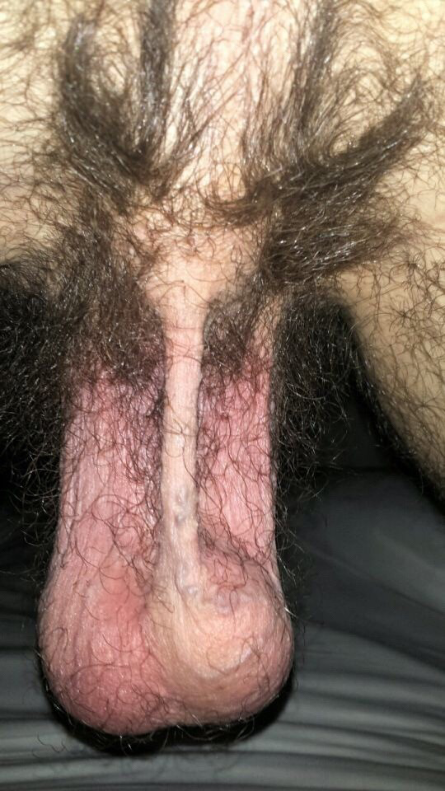 Watch the Photo by Smitty with the username @Resol702, posted on October 15, 2019. The post is about the topic Hairy ballsack.