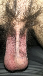 Photo by Smitty with the username @Resol702,  October 15, 2019 at 7:15 PM. The post is about the topic Hairy ballsack