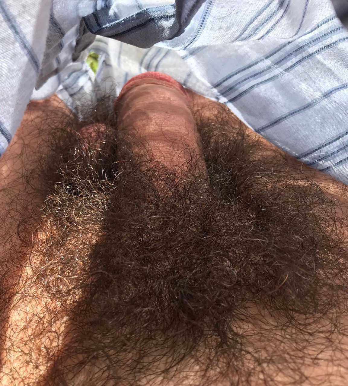 Photo by Smitty with the username @Resol702,  December 17, 2019 at 7:44 PM. The post is about the topic Gay hairy cocks