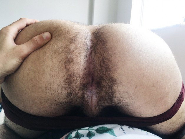 Photo by Smitty with the username @Resol702, posted on August 12, 2023. The post is about the topic Gay hairy asshole