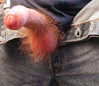 Photo by Smitty with the username @Resol702,  December 29, 2020 at 7:47 PM. The post is about the topic Hairy ballsack