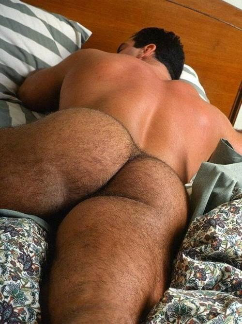 Photo by Smitty with the username @Resol702, posted on October 7, 2023. The post is about the topic Hairy butt