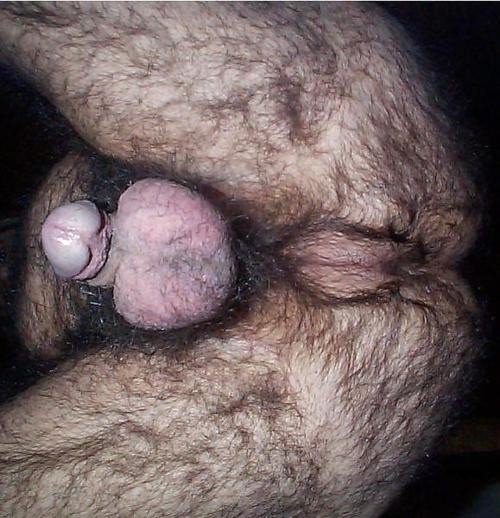 Photo by Smitty with the username @Resol702,  January 23, 2019 at 3:42 PM. The post is about the topic Gay hairy cocks