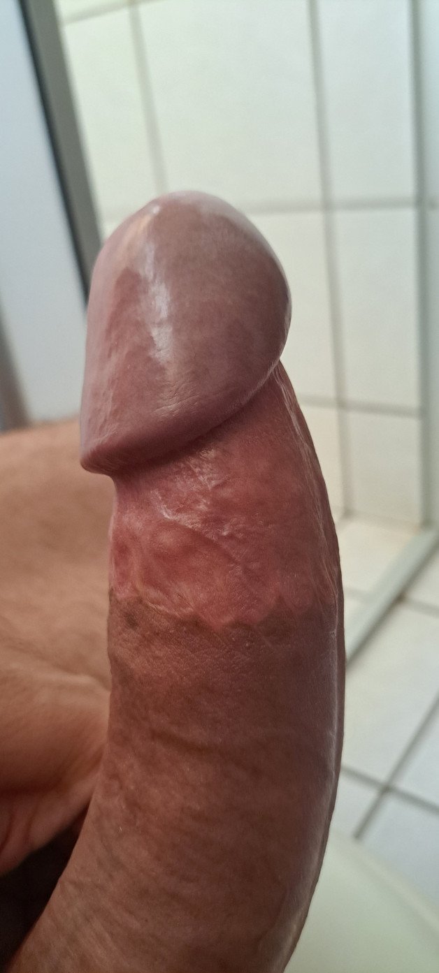 Photo by Fernando1210 with the username @Fernando1210,  November 24, 2023 at 10:03 AM. The post is about the topic Rate my pussy or dick