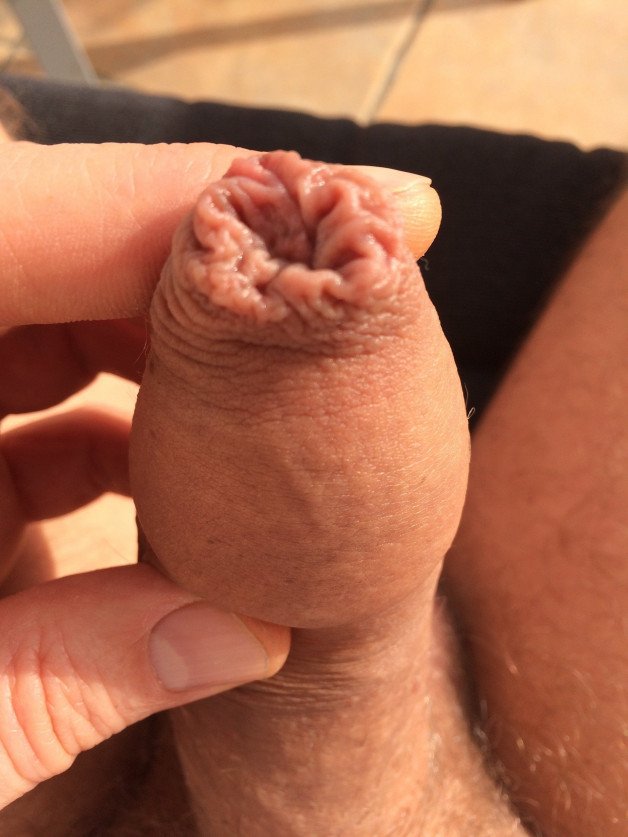 Album by PabloOz with the username @PabloOz, who is a verified user,  February 21, 2021 at 12:04 PM and the text says '#cocks #pricks #foreskins #uncut #cum #coloured #cocks #oozing'