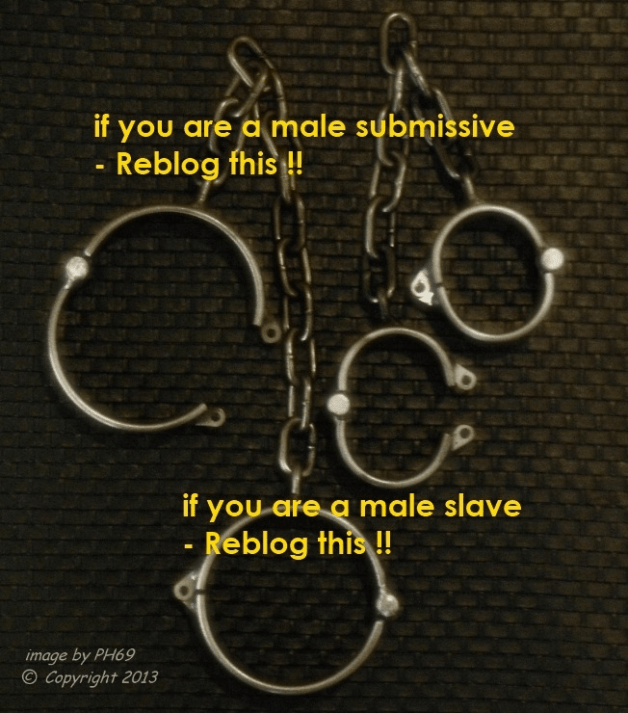 Photo by Mistressmatrisse01 with the username @Mistressmatrisse01,  February 16, 2021 at 9:15 PM. The post is about the topic Bondage and the text says 'Reblog and dm if you are a male submissive or a male save!!
#sub #slave'