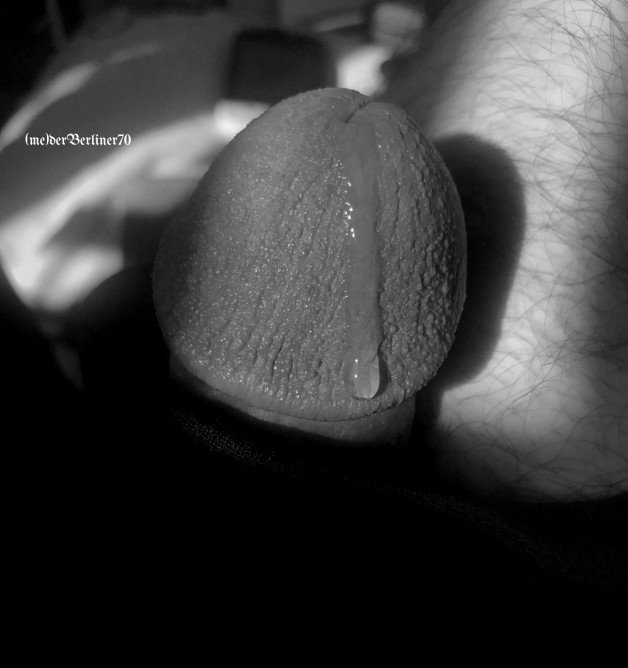 Album by derBerliner70 with the username @derberliner70,  February 27, 2021 at 2:37 PM. The post is about the topic privat bilder and the text says '#b&w  #privat #me #shaved #uncut #foreskin'