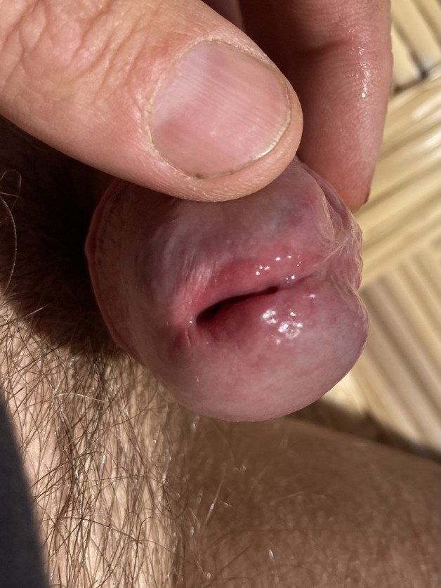 Photo by cip1906 with the username @cip1906,  March 2, 2021 at 1:11 PM. The post is about the topic Foreskin Penis and the text says 'some precum'