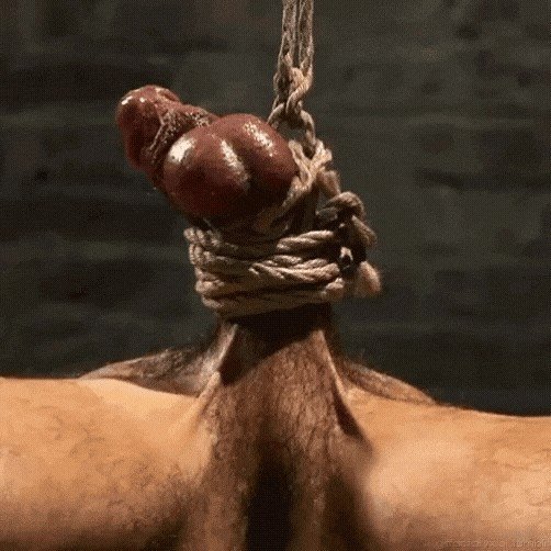 Photo by Maleplay with the username @Maleplay, who is a verified user,  May 13, 2024 at 6:00 PM. The post is about the topic Gay BDSM