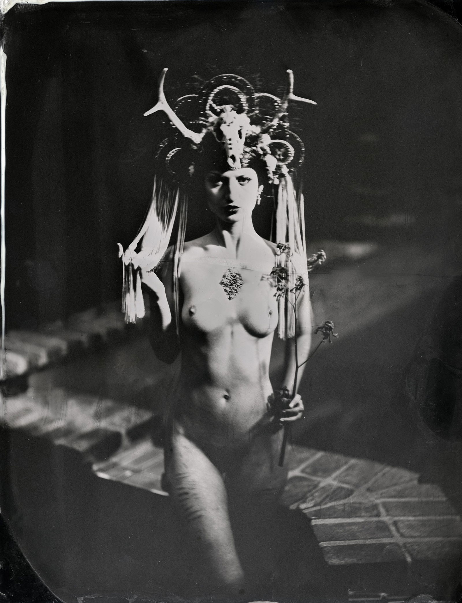 Photo by Schadenfreude with the username @Schadenfreude,  October 19, 2015 at 1:30 PM and the text says 'wetplatenudes:

Lauryn Ipsum, 6.20158 x 10″ tintype. Headpiece by Miss G Designs, Los Angeles CA
 #female  #nude  #nsfw  #otherworldly  #Dragon  #woman  #headpiece  #harsh  #lighting'