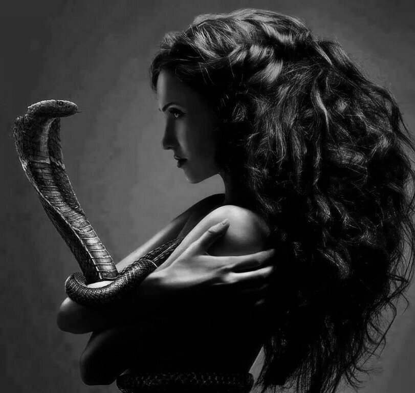 Photo by Schadenfreude with the username @Schadenfreude,  December 2, 2016 at 10:34 PM and the text says '#female  #eve  #snake  #cobra  #stare  #down  #confidence  #hair  #eyes  #eye  #contact  #fearless  #dynamic  #lighting'