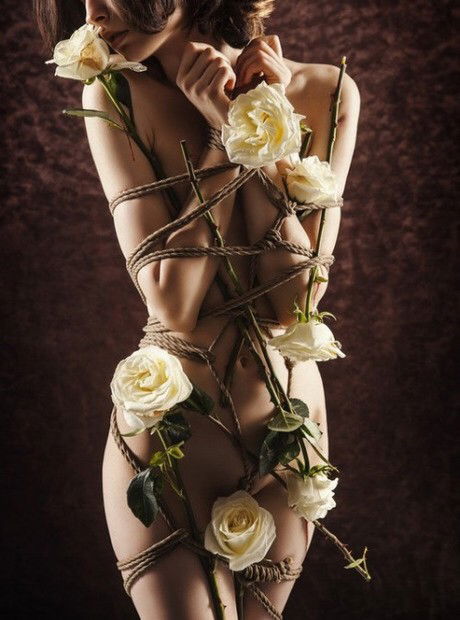 Watch the Photo by Schadenfreude with the username @Schadenfreude, posted on February 8, 2016 and the text says 'delivertothebackdoorplease:

 #female  #bound  #flowers  #roses  #rope  #rope  #bondage'